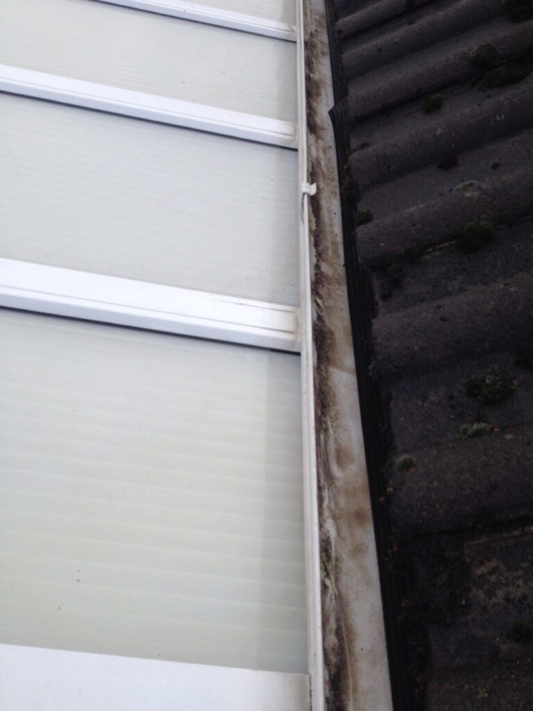 clean gutters
